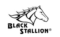 Black Stallion